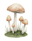 Mushroom Grove Wall Print